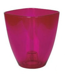 osłonka do storczyka 12 cm transparentna amarant