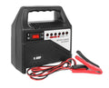 Prostownik do akumulatora 12V 6A  11050