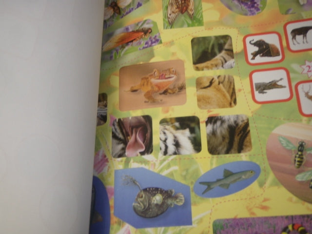 książeczka Mały obserwator przyrody MOWA ZWIERZĄT