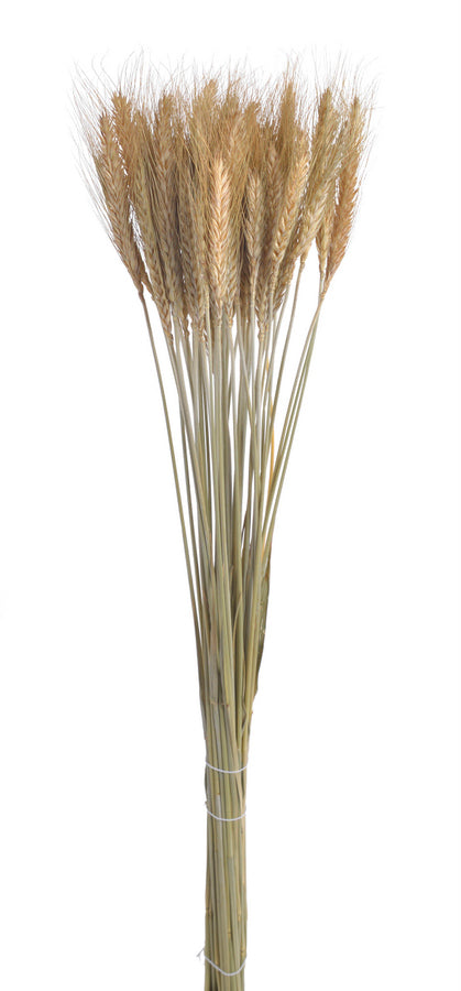 susz naturalny - zboże paczkowane 60cm 55g WOL-11NAT