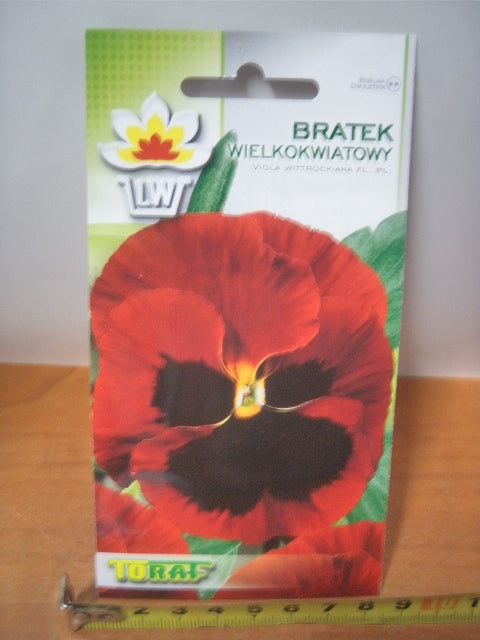 nasiona bratek wielokwiatowy TF1995