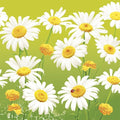 serwetki 33 x 33 cm Lovely Marguerites on Green 86-61