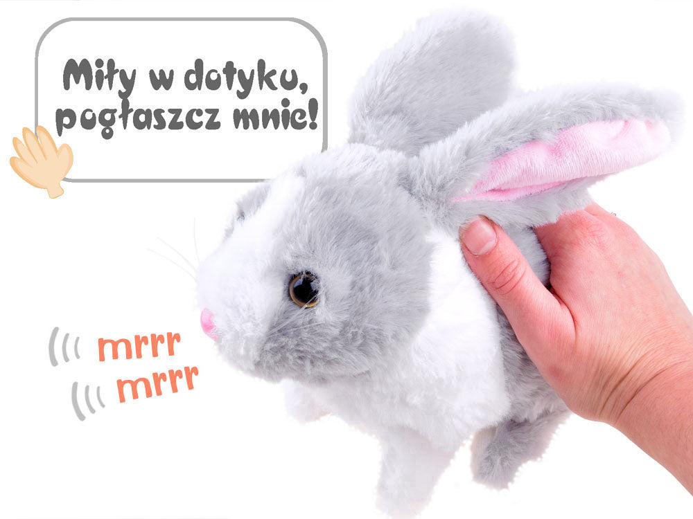interaktywny zwierzaczek chrupaczek kicający Królik + marchewka ZA2685 SZ