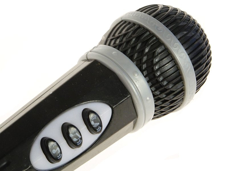 mikrofon echo z muzyką