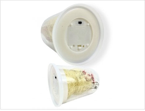 Wieczna róża LED w szkle 16cm wal789674