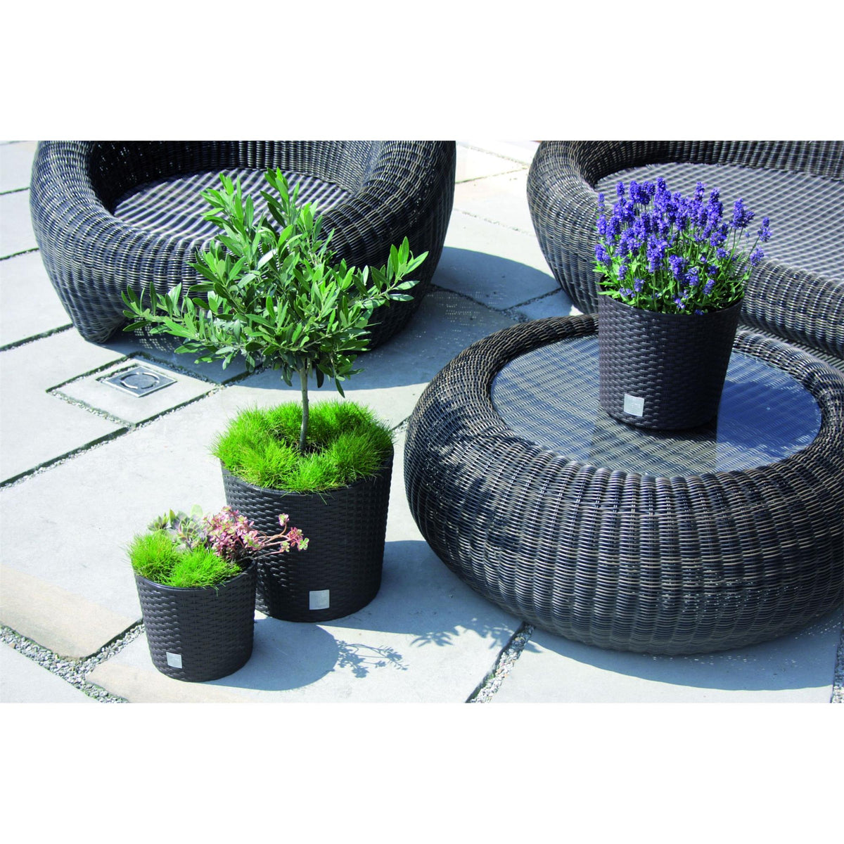 donica z wkładem rattan RATO Round  25xh22cm  ANTRACYT