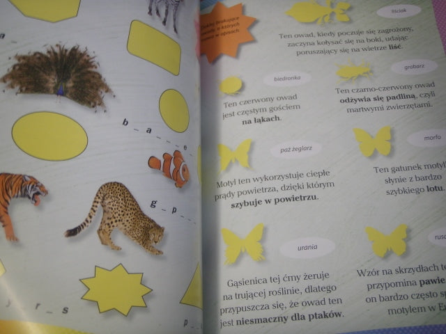 książeczka Mały obserwator przyrody Klub przyrodnika