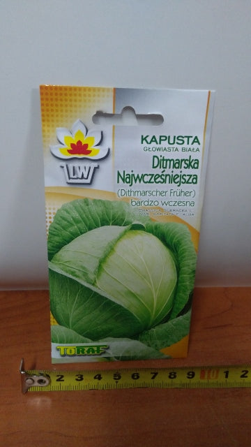 nasiona KAPUSTA DITMARSKA 2g