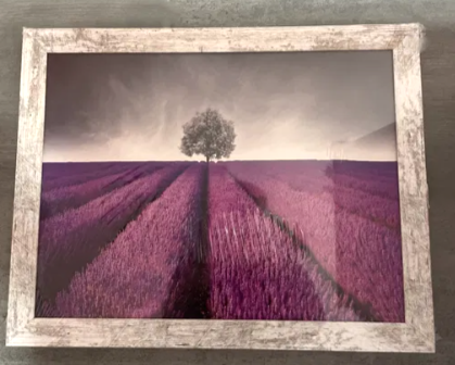 obraz 30x40cm LAWENDOWE POLE