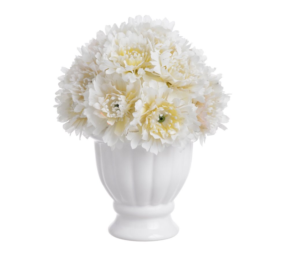 goździki w doniczce białe  16cm 11P95157
