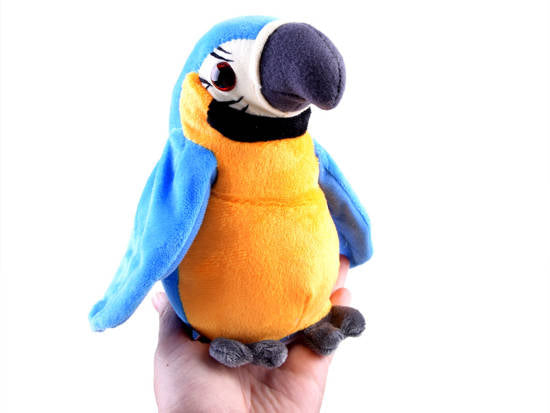 papuga pleciuga powtarza mówi gada słowa ZA3887 NI