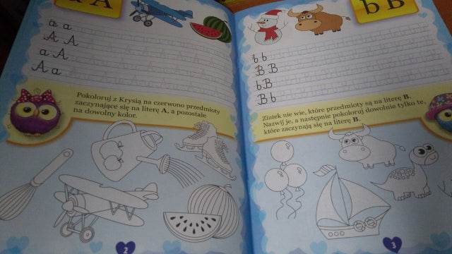 książka SÓWKI MĄDRE GŁÓWKI | 602071