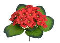 fiołek afrykański 18cm. CZERWONY 86CAN3021209_06