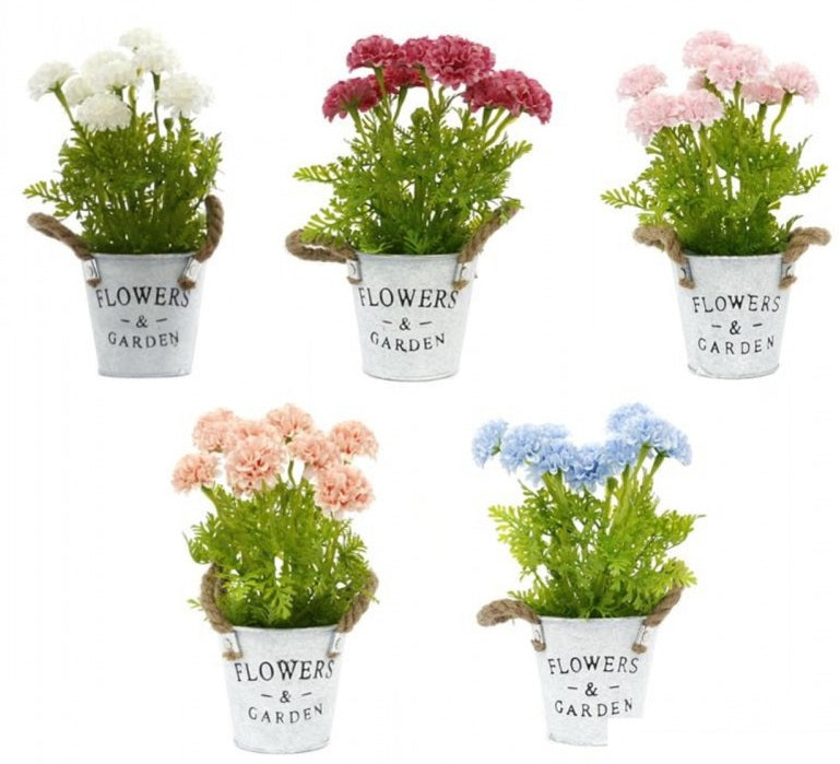 kwiatki w doniczce FLOWERS & GARDEN 12x27cm