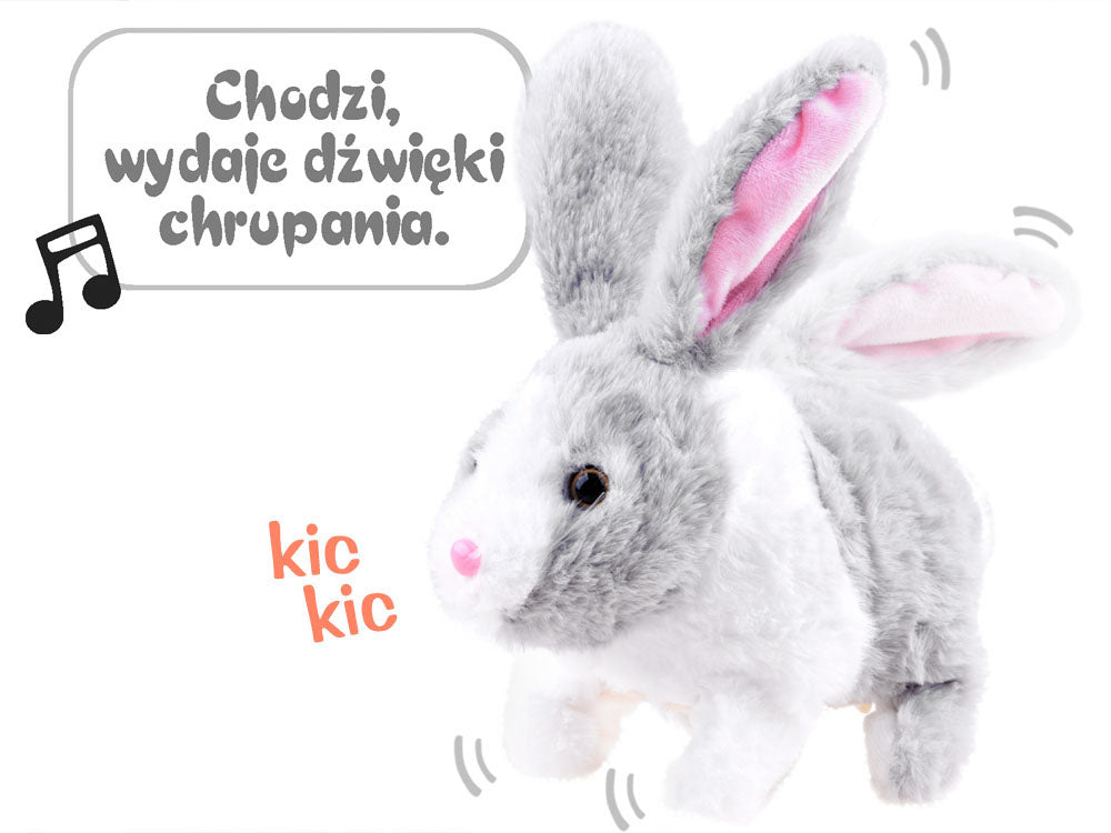 interaktywny zwierzaczek chrupaczek kicający Królik + marchewka ZA2685 SZ