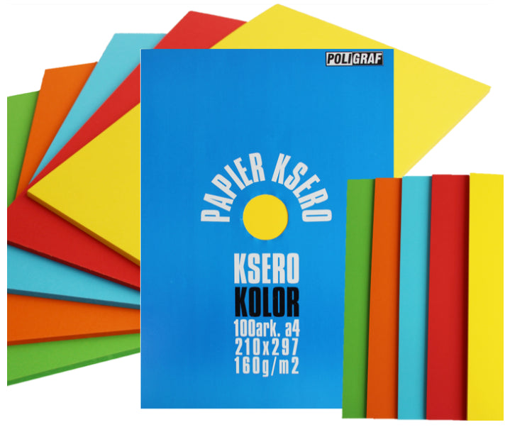 papier ksero kolor 100arkuszy A4 160G/M2