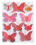 motyki na blistrze mix 4cm - 7,5cm 10szt.
