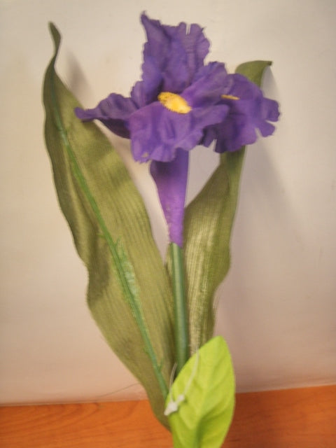 kwiat IRYS 50cm PS19