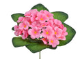 fiołek afrykański 18cm. Różowy  86CAN3021209_02