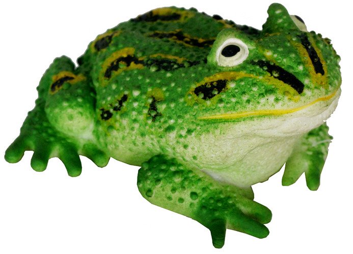 Żaba gumowa z groszkiem 2-rodzaje 11cm