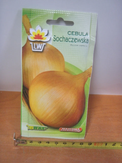 nasiona CEBULA SOCHACZEWSKA | TF1664