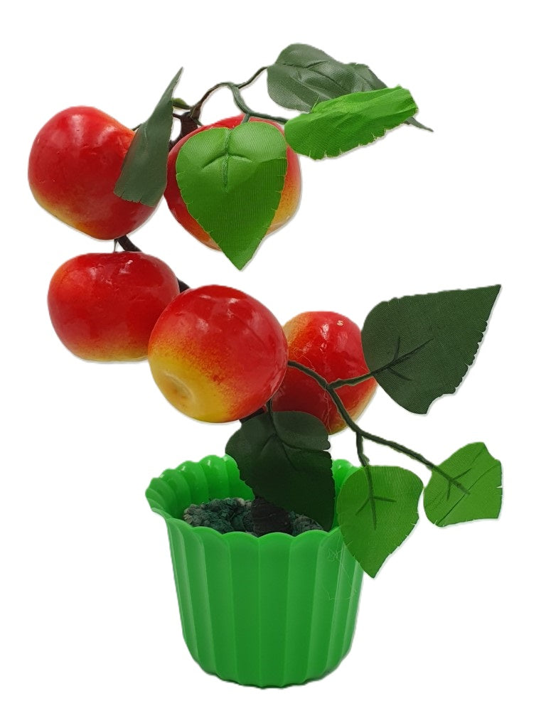 drzewko w doniczce owocowe