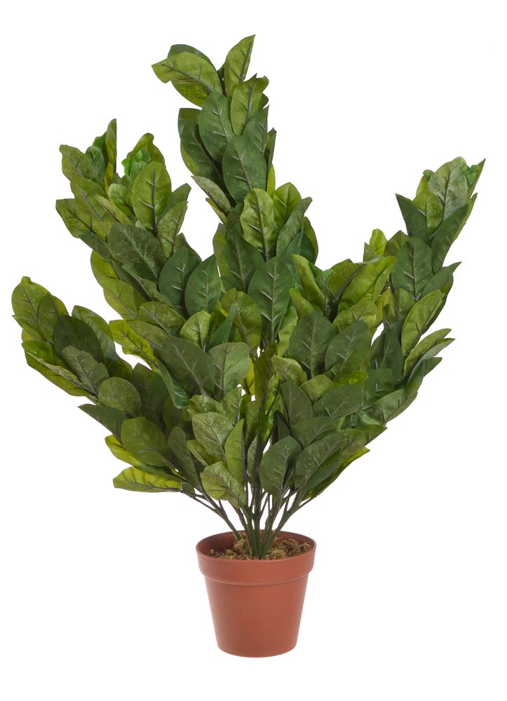 drzewko w doniczce 62cm OLIVE 13809
