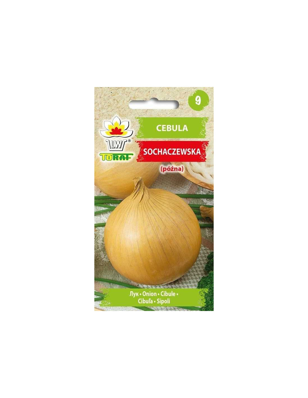 nasiona CEBULA SOCHACZEWSKA | TF1664