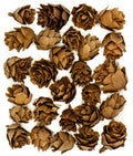 szyszki mini 30g 2~3cm SZYSZ-60