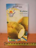 nasiona 10g BRUKIEW NADMORSKA TF1265