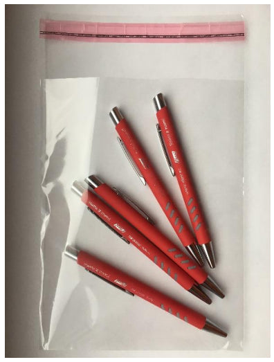 torebka OPP z klejem  20x30+5cm 100szt. | 02-03-12030011A