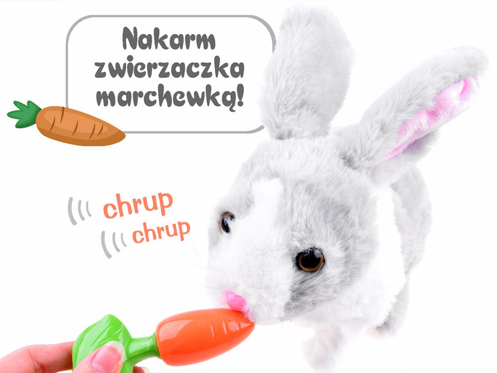 interaktywny zwierzaczek chrupaczek kicający Królik + marchewka ZA2685 SZ
